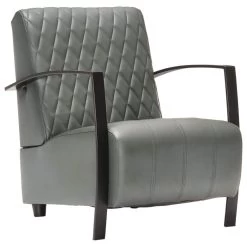 VidaXL Fauteuil Echt Leer Grijs